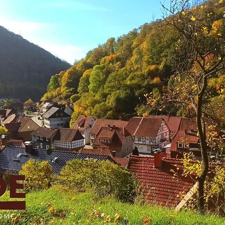 Arode Huette Harzilein - Romantic Tiny House On The Edge Of The Forest Vakantiehuis