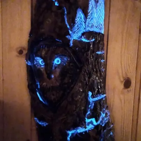 Arode Huette Harzilein - Romantic Tiny House On The Edge Of The Forest בית נופש Zorge