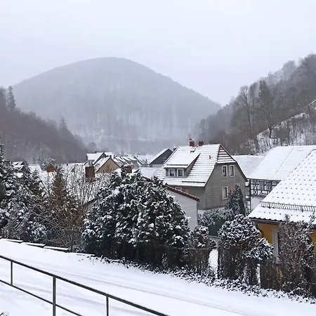 Arode Huette Harzilein - Romantic Tiny House On The Edge Of The Forest