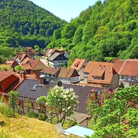 Arode Huette Harzilein - Romantic Tiny House On The Edge Of The Forest *