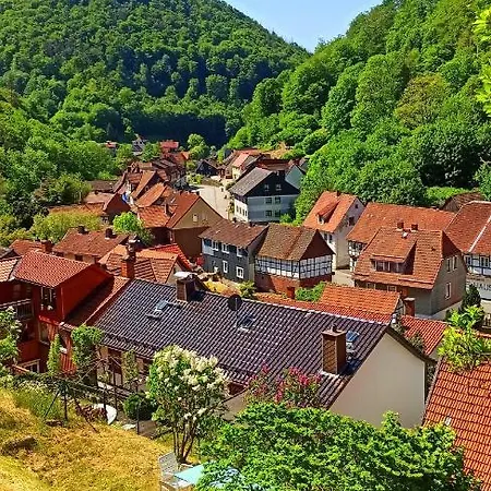Ferienhaus Arode Huette Harzilein - Romantic Tiny House On The Edge Of The Forest *