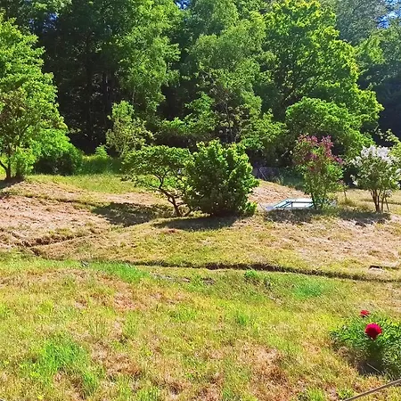 Arode Huette Harzilein - Romantic Tiny House On The Edge Of The Forest Vakantiehuis Zorge
