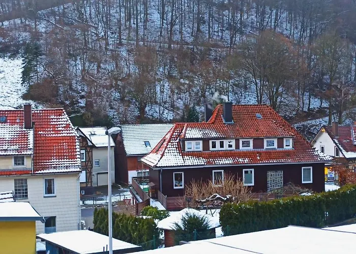 Arode Huette Harzilein - Romantic Tiny House On The Edge Of The Forest Zorge