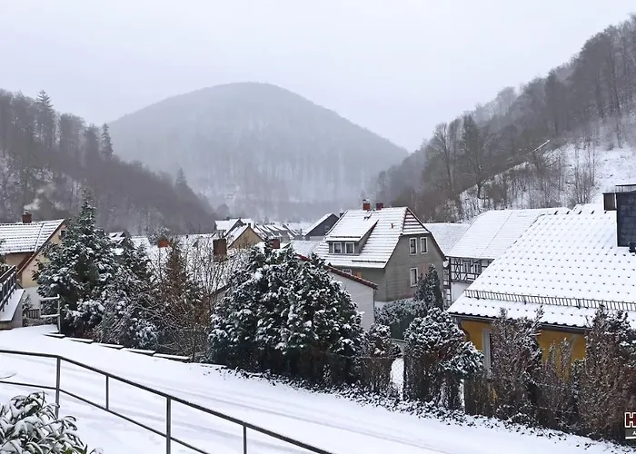 Arode Huette Harzilein - Romantic Tiny House On The Edge Of The Forest