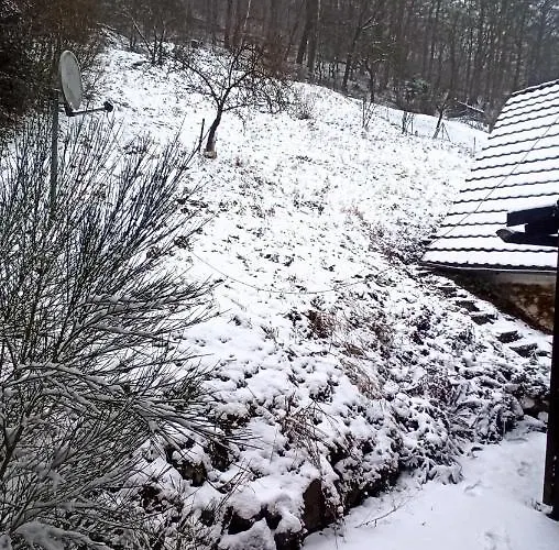 Arode Huette Harzilein - Romantic Tiny House On The Edge Of The Forest