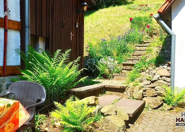 Arode Huette Harzilein - Romantic Tiny House On The Edge Of The Forest Zorge