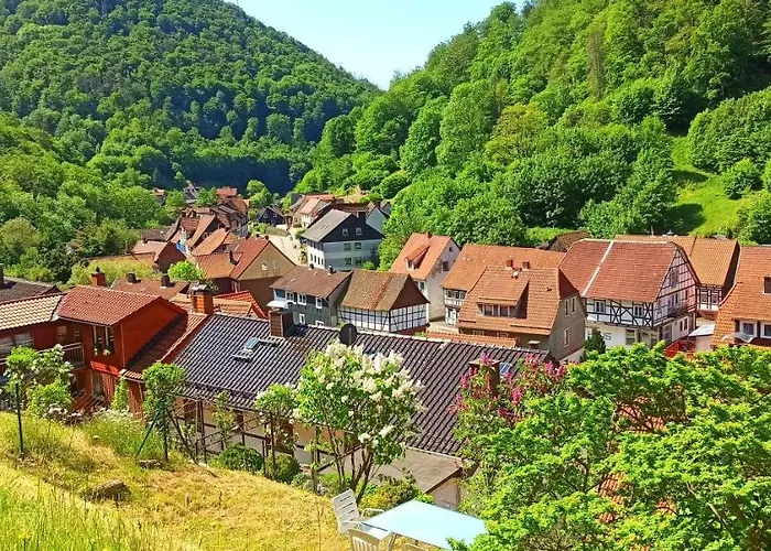 Arode Huette Harzilein - Romantic Tiny House On The Edge Of The Forest *
