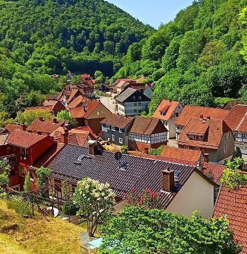 Prázdninový dům Arode Huette Harzilein - Romantic Tiny House On The Edge Of The Forest *